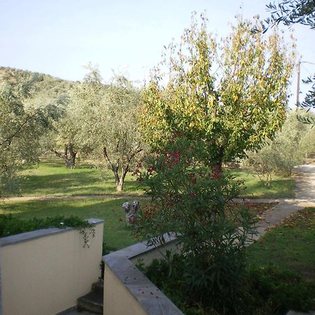 Villa Christina Амалиаполи Екстериор снимка