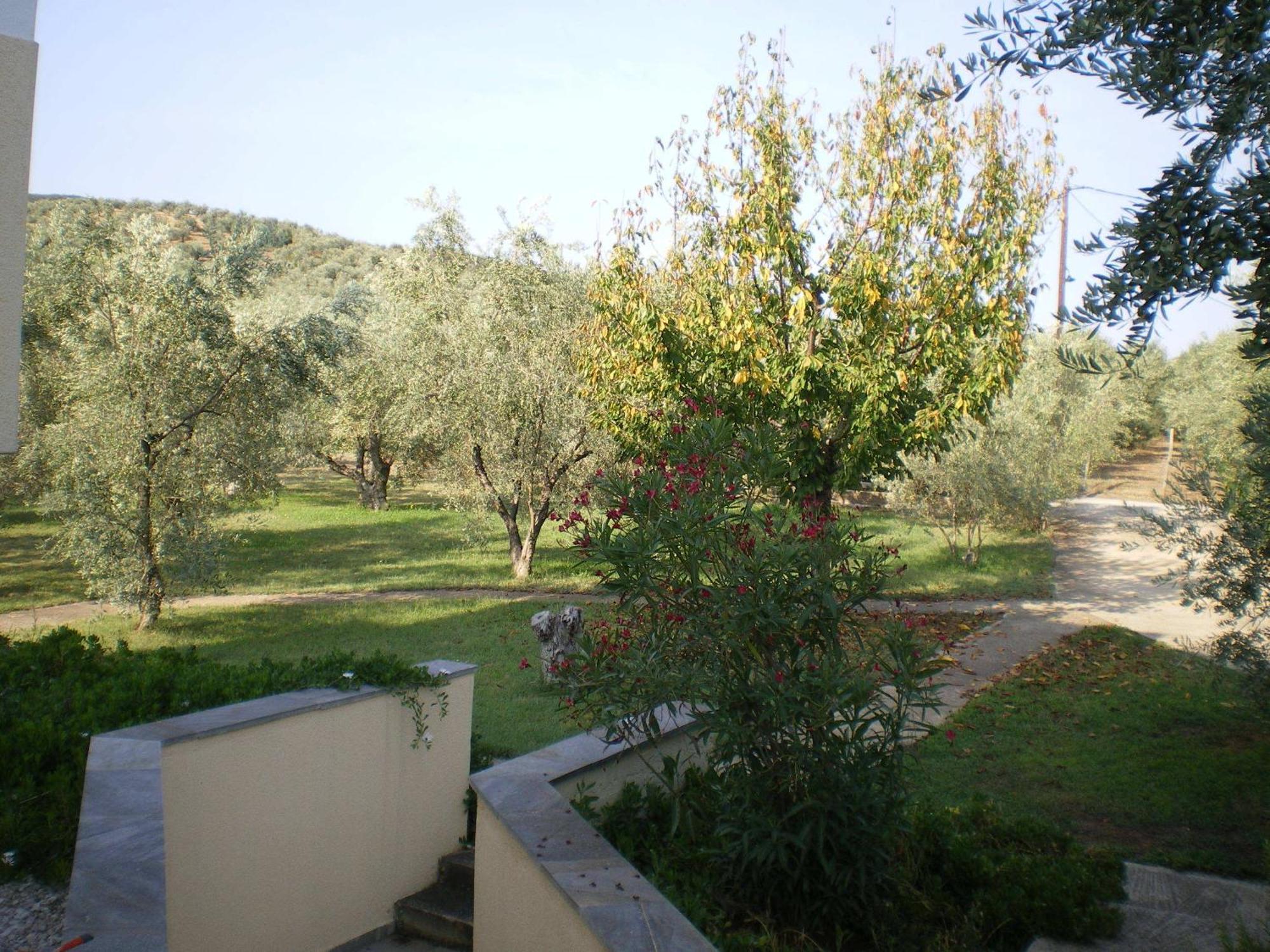 Villa Christina Амалиаполи Екстериор снимка